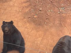 -昆明动物园