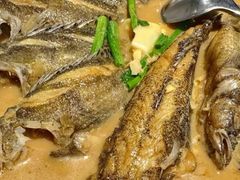 -丹江渔村(望京店)