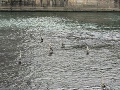 -九眼桥码头旧址