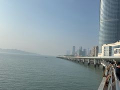 -演武大桥观景平台