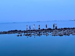 -上海吴淞炮台湾国家湿地公园
