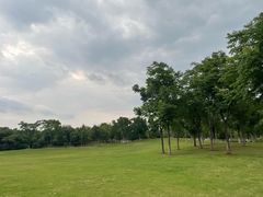 -盘龙城国家考古遗址公园