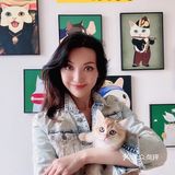北京宠物｜69猫舍的暖宝宝们～