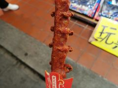 -黑色经典臭豆腐·湖南特产(潇湘文化店)