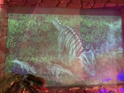 -恐龙探索乐园(磁器口店)