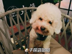 -大渔铁板烧(蛇口店)