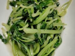 清炒鸡毛菜-锦府盐帮·侯宅(五棵松万达店)