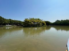 -大湾区中央湿地公园