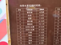 -呀路古热带植物园