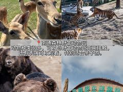 -南通濠河风景名胜区