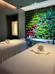 -VELEE·SPA高定疗愈会所