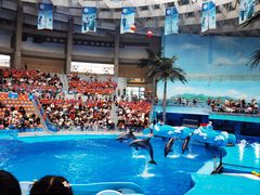 -海合安成都极地海洋公园