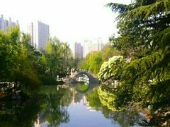 -西苑公园