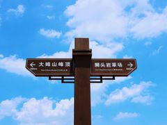 -大姆山草场