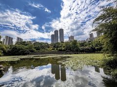-龙头寺公园