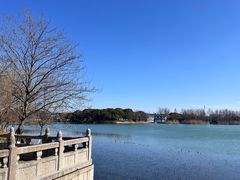 -尚湖风景区