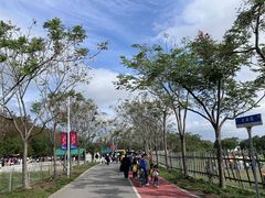 -上海长兴岛郊野公园