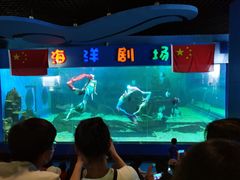 -石林冰雪海洋世界