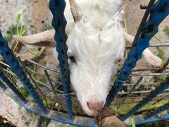 -上海滴水湖皇冠假日酒店