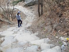 -北京鹫峰国家森林公园