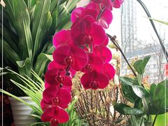 -云之南(八里庄店)