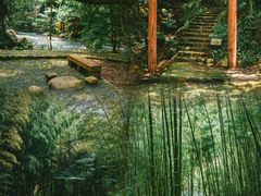 -广州市石门国家森林公园