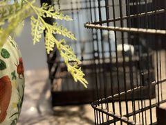 -贝勒爷·酥不腻烤鸭