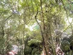 -七仙岭温泉国家森林公园