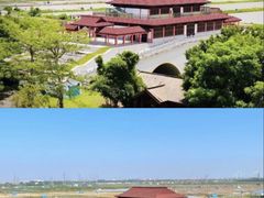 -大湾区中央湿地公园-十九涌