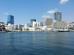 -神户港
