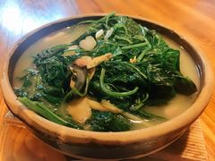 上汤辣椒叶-和记菜馆