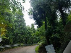 -东白山