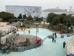 -芜湖新华联大白鲸海洋公园