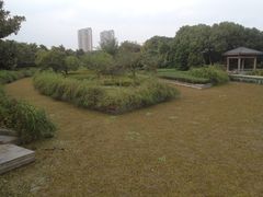 iphone_upload_pic-蠡湖大桥公园