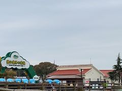 -苏州太湖西山岛开心农场
