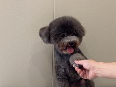 -圣宠动物医院·犬猫专科·影像中心·外科中心