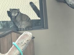 -青藏高原野生动物园