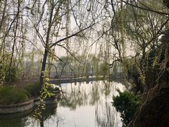 -临沂华盛江泉城大酒店