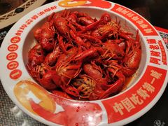 -阿财老铺·老蚌埠龙虾城(华夏总店)