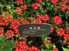 -国家植物园南园