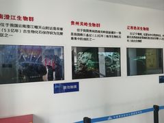 -中国第四纪冰川遗迹陈列馆