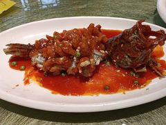 -宋园·金宴浙鲜馆(静安店)