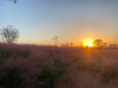 -汉长安城未央宫国家考古遗址公园