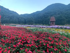 -广州市石门国家森林公园