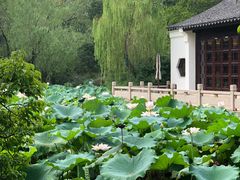 -杭州西子湖四季酒店·金沙厅