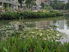 -花果园湿地公园