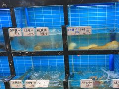 -阿巧一号私房菜(止园路店)