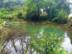 -车溪民俗旅游区