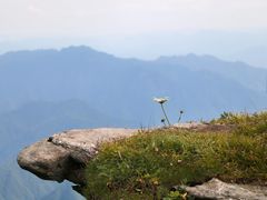 -秦岭风景区
