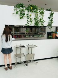 -蚂蚁造型俱乐部